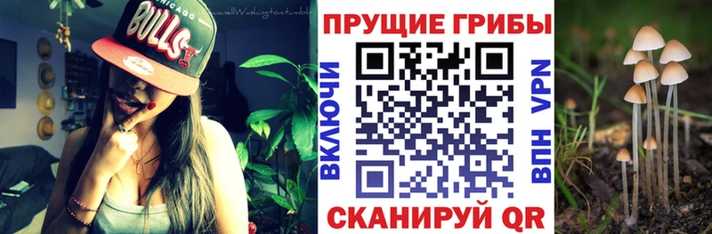 Галлюциногенные грибы MAGIC MUSHROOMS  Сольцы 